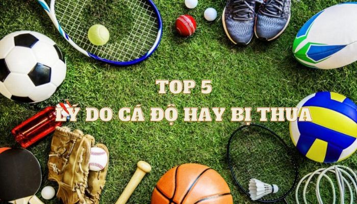 Lý do cá độ hay bị thua là gì? Top 5 nguyên nhân làm bạn trắng tay trong ván cược